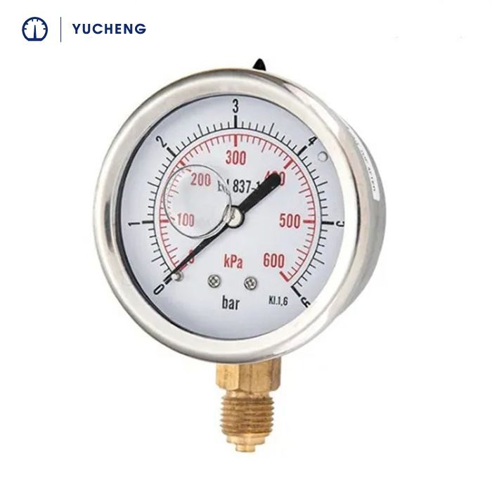 stainless steel case brass connect pressure gaue